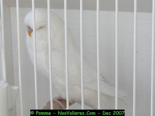 100_4534 (Small).JPG