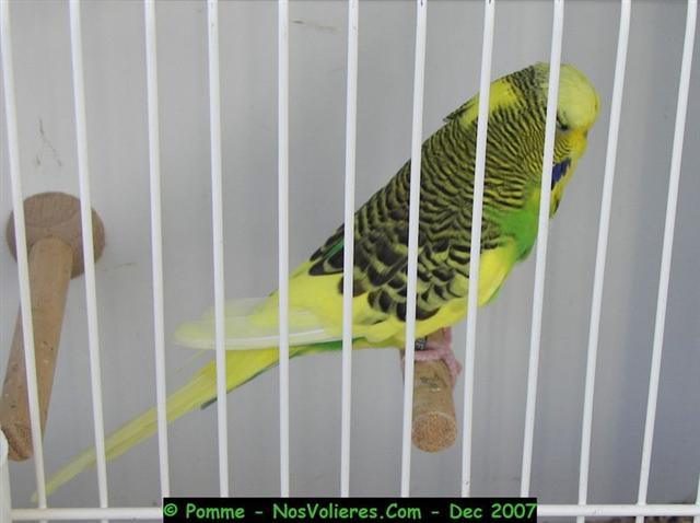 100_4533 (Small).JPG