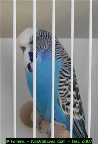 100_4532 (Small).JPG