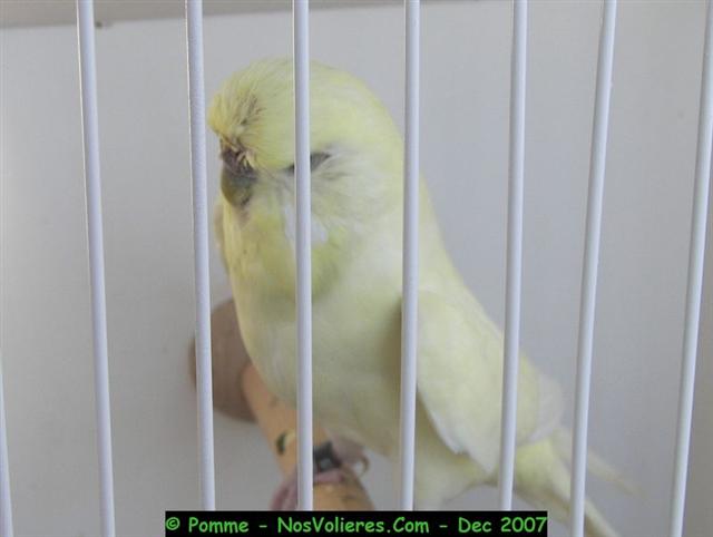 100_4536 (Small).JPG