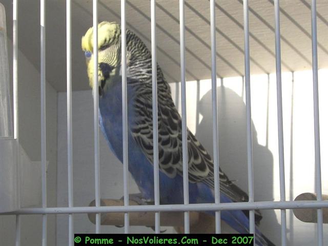 100_4535 (Small).JPG