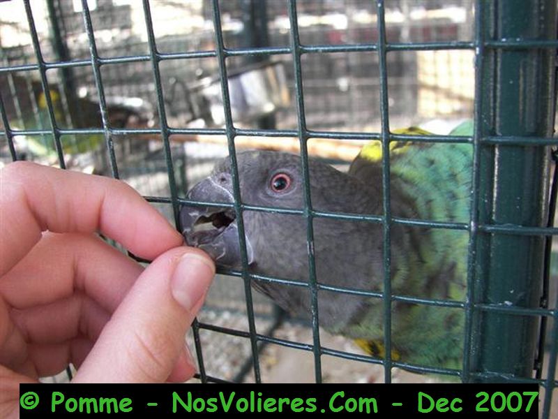 100_4518 (Small).JPG