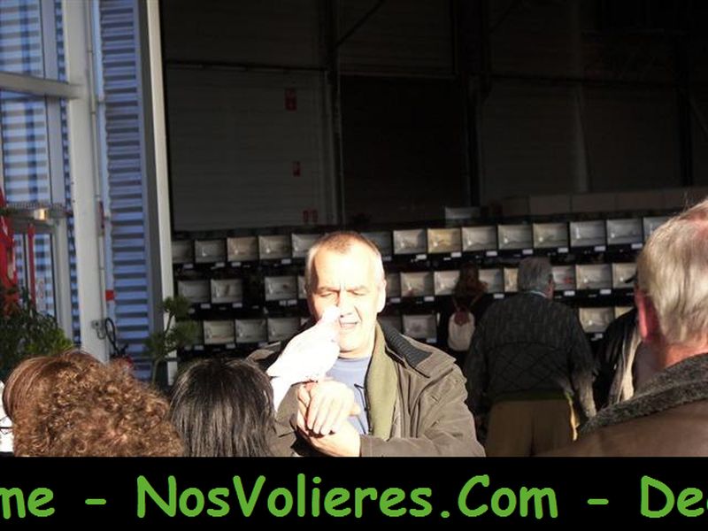 100_4498 (Small).JPG