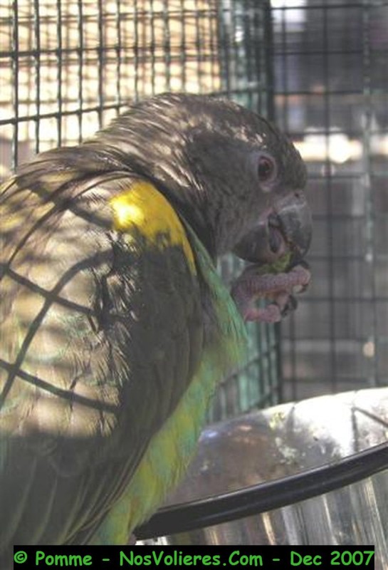 100_4523 (Small).JPG