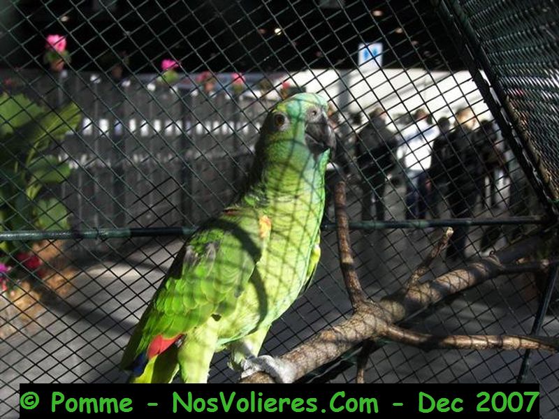 100_4503 (Small).JPG