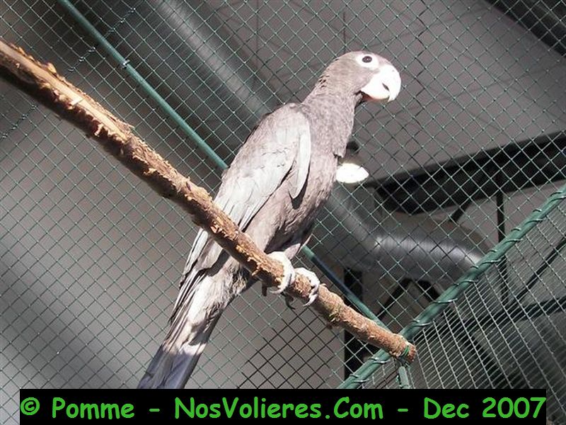 100_4501 (Small).JPG