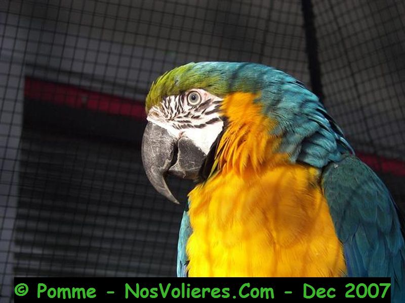 100_4571 (Small).JPG