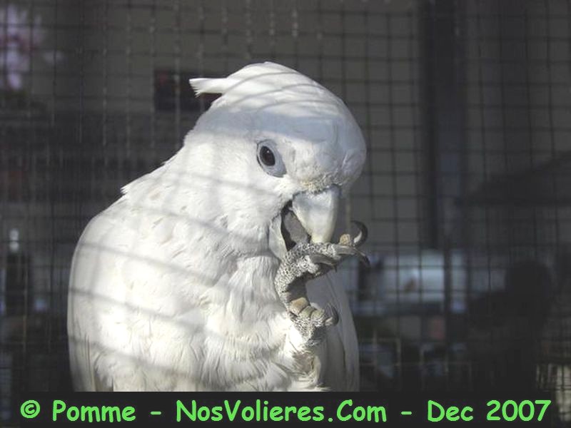 100_4544 (Small).JPG