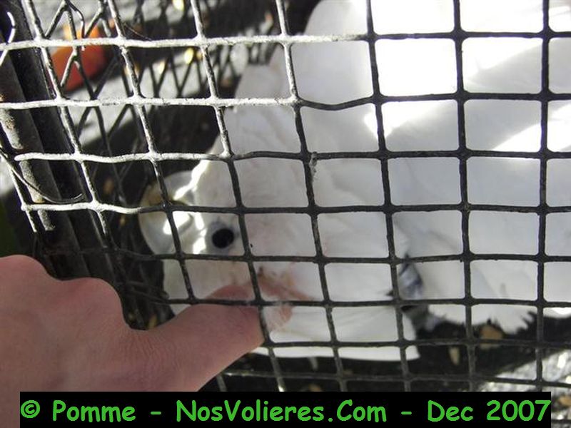 100_4558 (Small).JPG