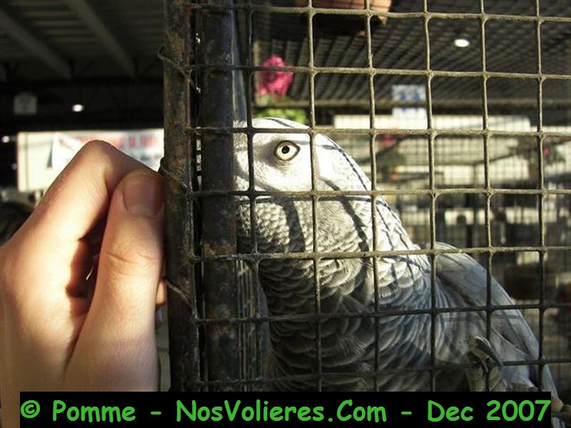 100_4999 (Small).JPG