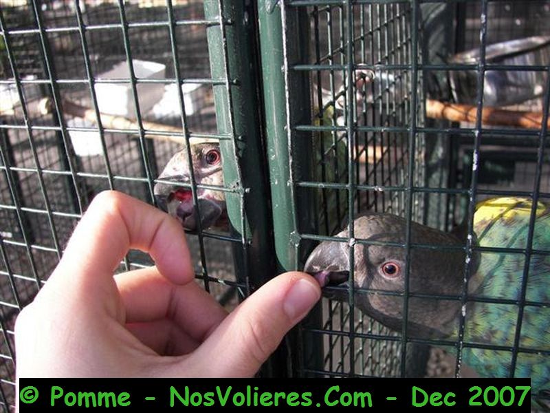 100_4519 (Small).JPG