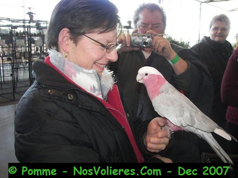 100_4671 (Small).JPG