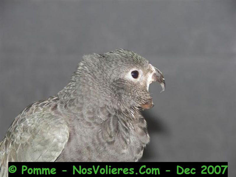 100_4669 (Small).JPG