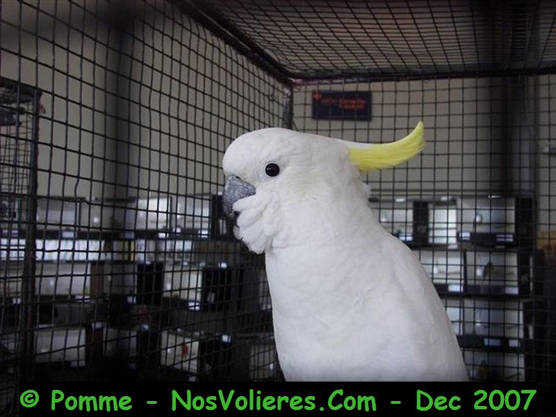 100_4574 (Small).JPG