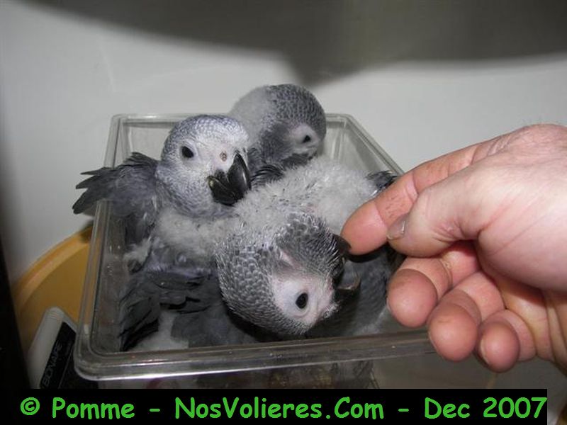 100_4767 (Small).JPG