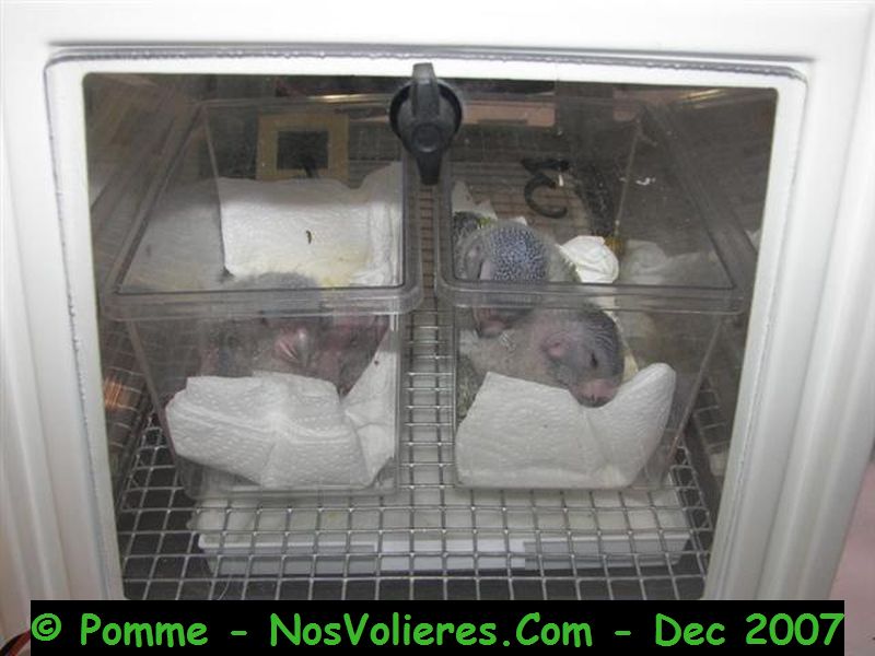 100_4766 (Small).JPG