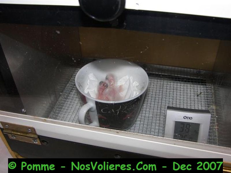 100_4765 (Small).JPG