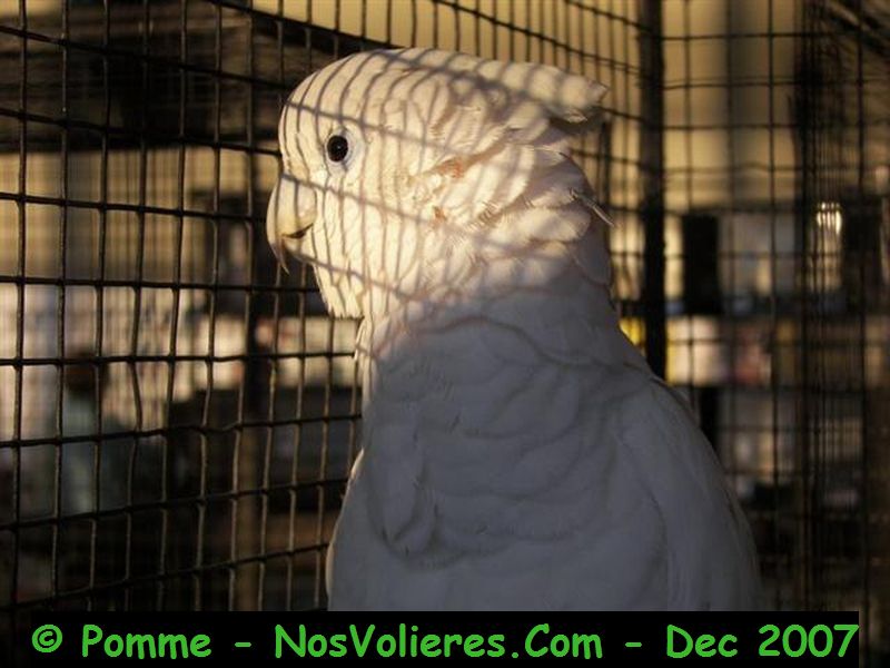 100_4948 (Small).JPG