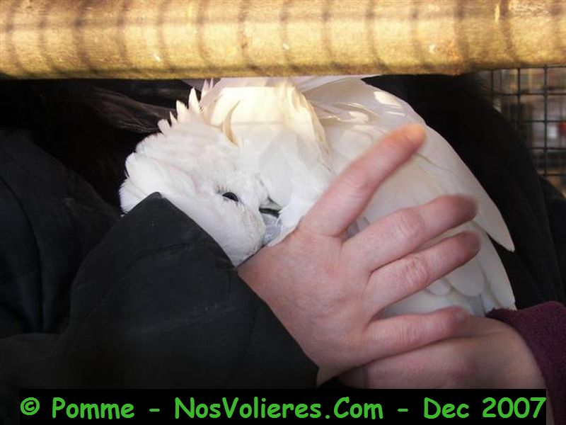 100_4953 (Small).JPG