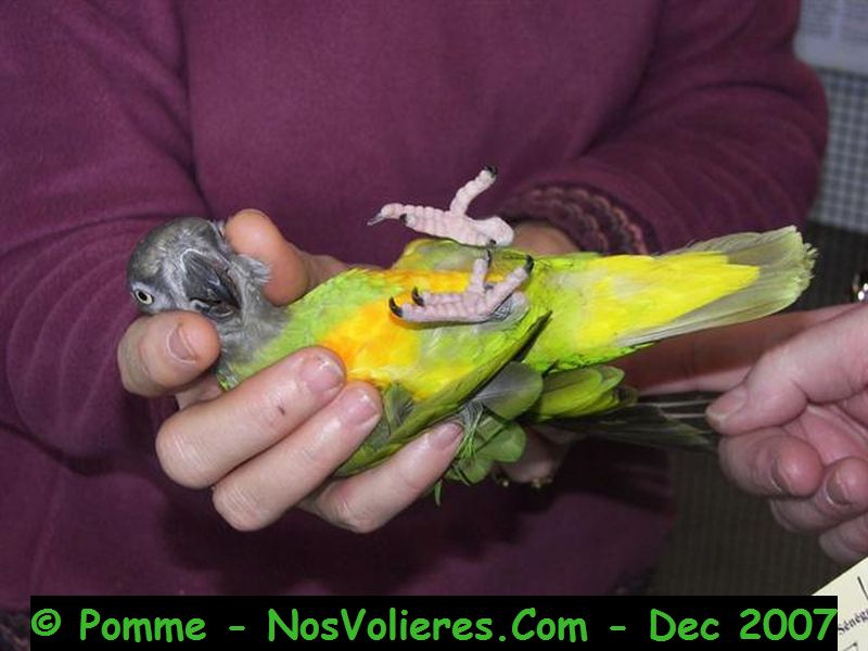 100_4674 (Small).JPG