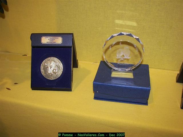 100_4973 (Small).JPG