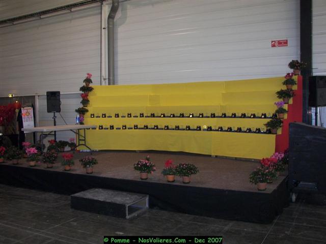 100_4972 (Small).JPG