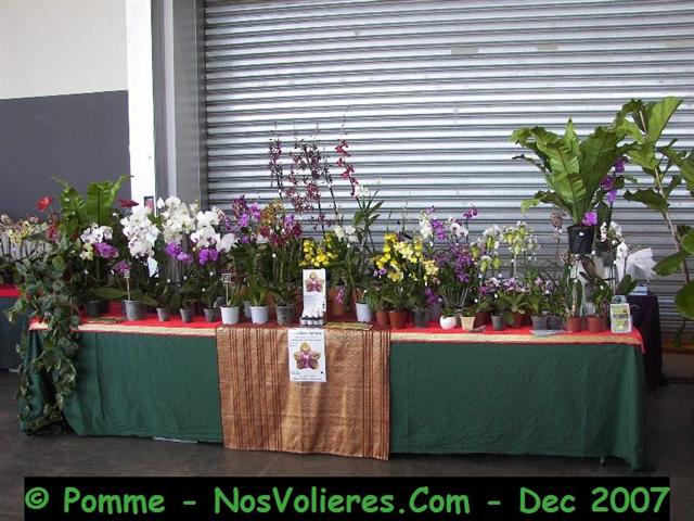 100_4662 (Small).JPG