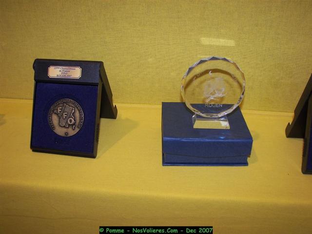 100_4975 (Small).JPG