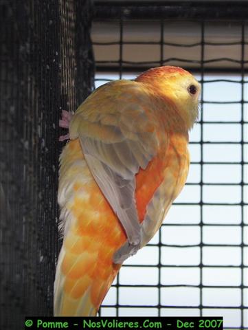 100_4637 (Small).JPG