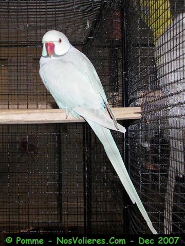 100_4825 (Small).JPG