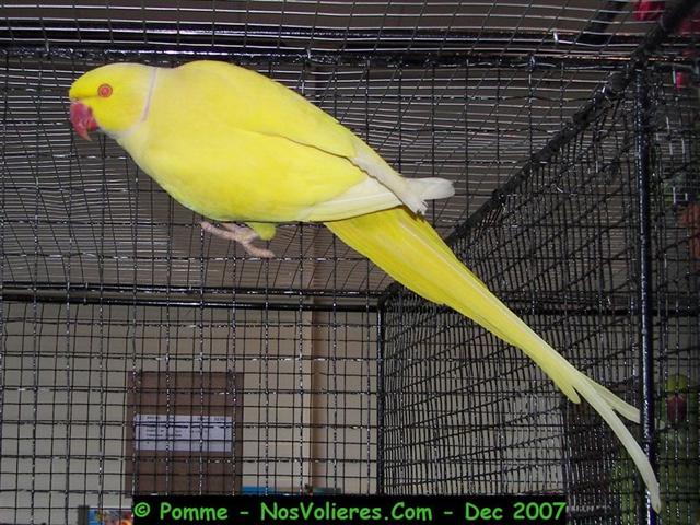 100_4587 (Small).JPG