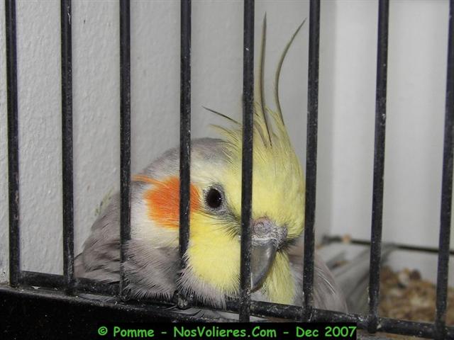 100_4691 (Small).JPG