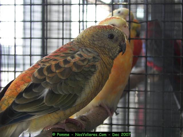 100_4634 (Small).JPG