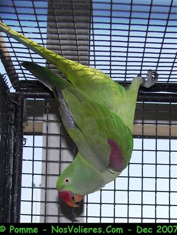 100_4607 (Small).JPG