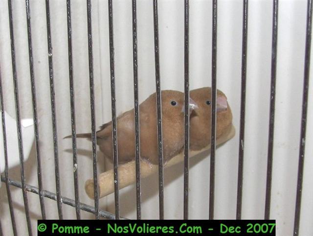 100_4864 (Small).JPG