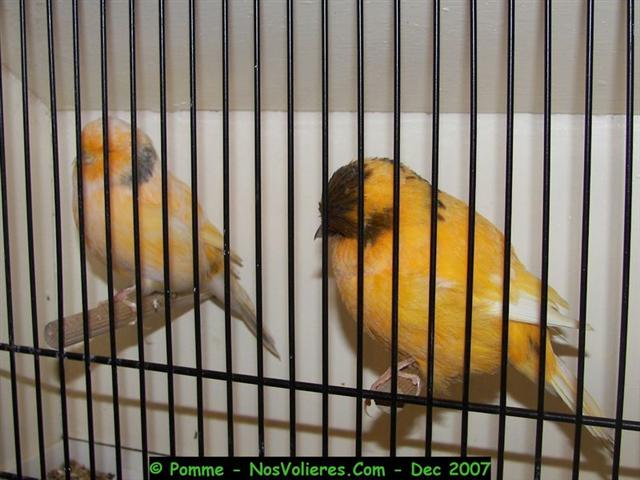 100_4859 (Small).JPG