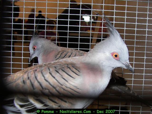 100_4741 (Small).JPG