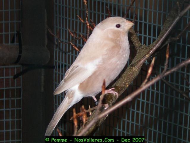 100_4684 (Small).JPG