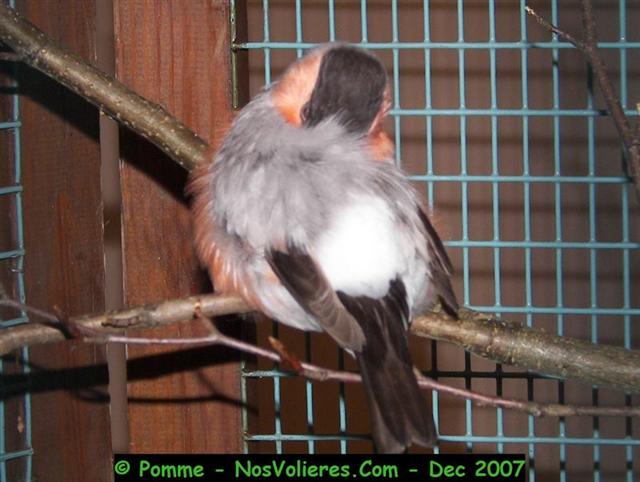 100_4976 (Small).JPG