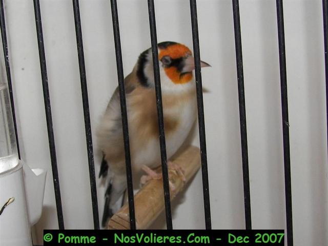 100_4862 (Small).JPG