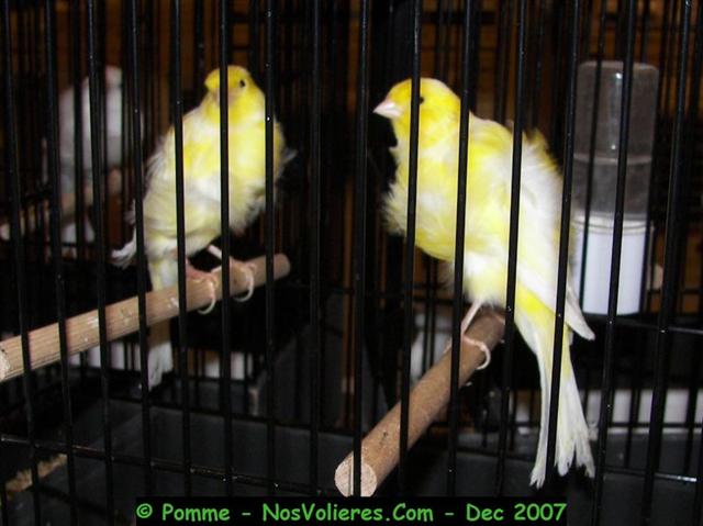 100_4866 (Small).JPG