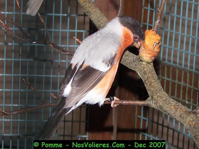 100_4686 (Small).JPG