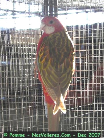 omni op cin 92 pts (Small).JPG