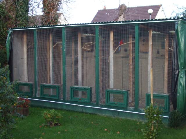voliere Ã©levage 2 (Small).jpg