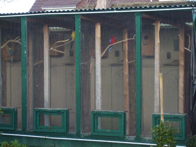 voliÃ©re Ã©levage 1 (Small).jpg