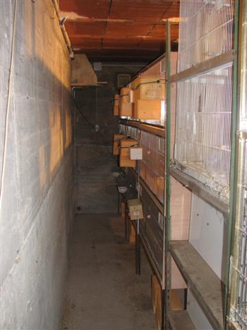 20080114_BATTERIES_ (4) (Small).JPG