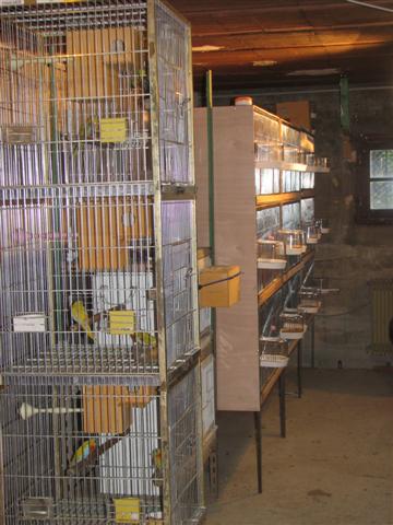 20080114_BATTERIES_ (1) (Small).JPG