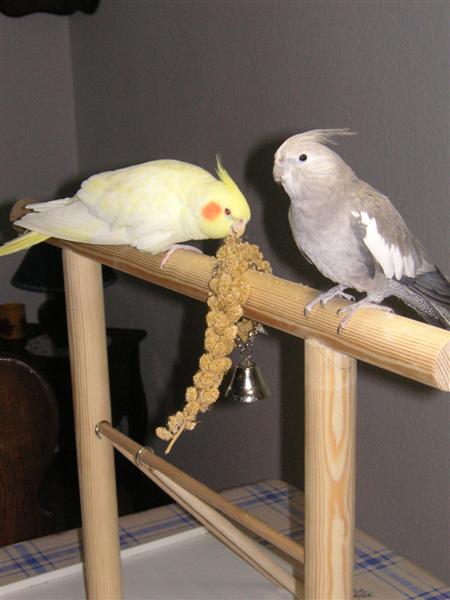 PICT0017 (Medium).JPG