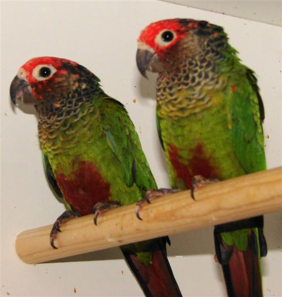 DSC00503 (Medium).JPG