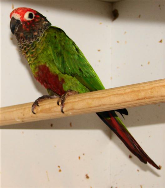 DSC00500 (Medium).JPG